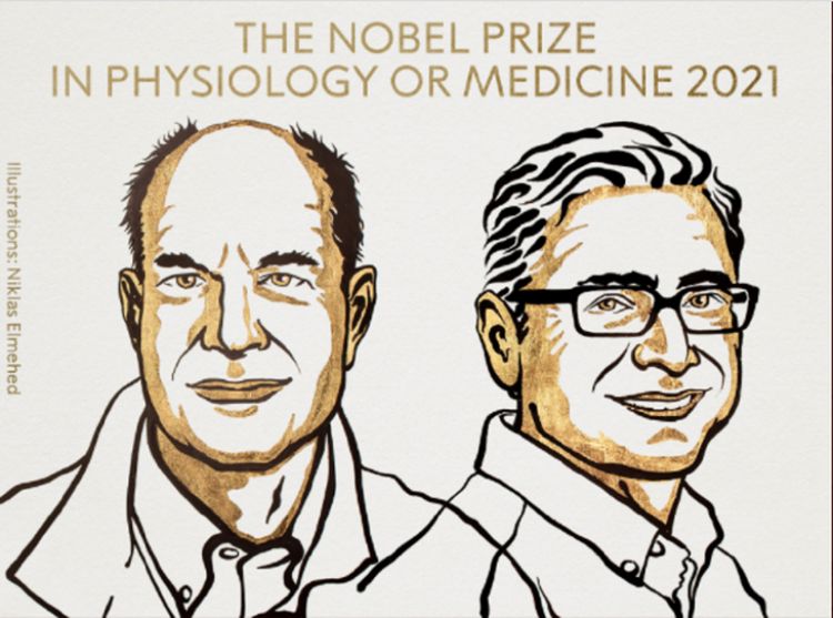 Nobel de Medicina para Julius y Patapoutian por hallazgos sobre el tacto