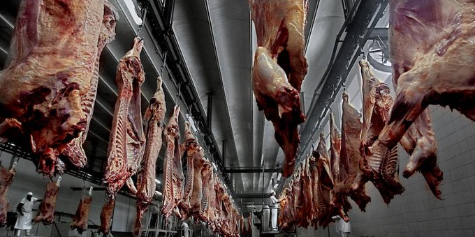 Feprinco pide al Estado que actúe para frenar contrabando y abigeato