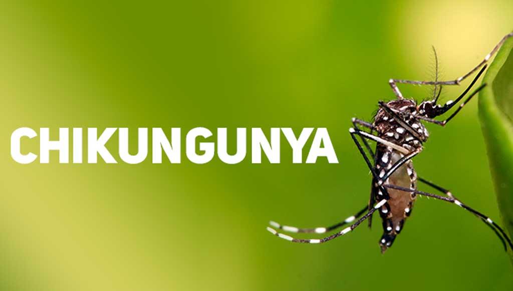 Jefe Regional del SENEPA enciende la alarma respecto a casos de Chikungunya