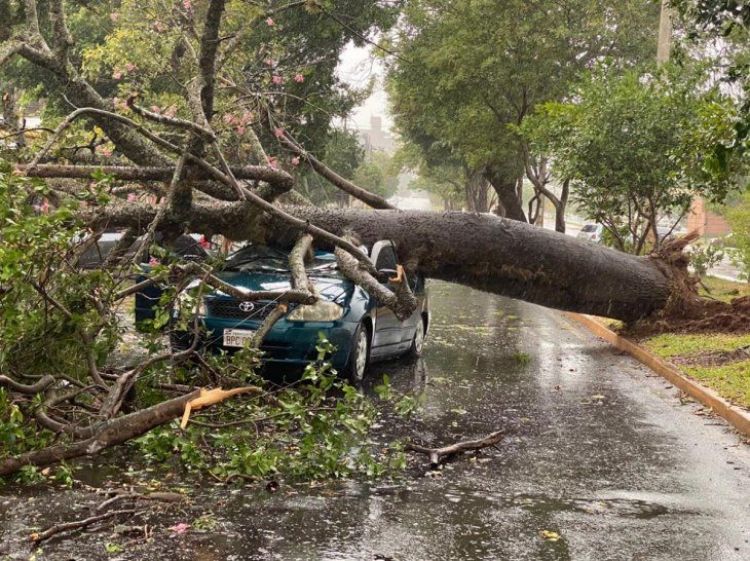 Fuerte temporal: Tormenta de humo, daños materiales y vientos de 140 km/h