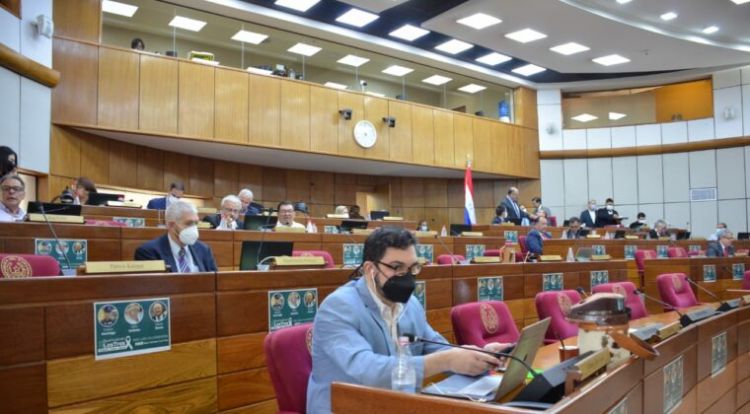 Senado trata subsidio al combustible mientras protestas continúan a nivel país