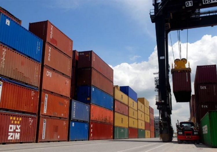 Los protocolos ralentizaron las exportaciones de alimentos
