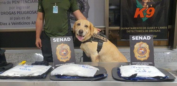 Paraguaya es detenida con cocaína cuando intentaba viajar a Madrid