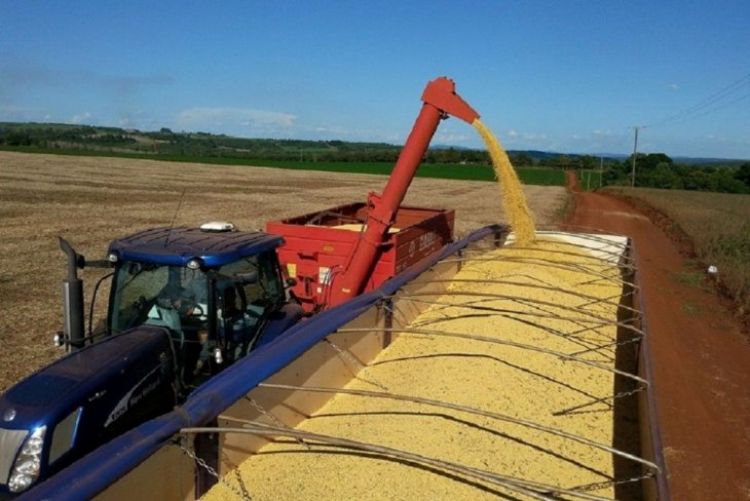 El 40% de la soja cosechada aún no se comercializó