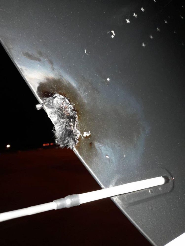 Avión de Miley Cyrus fue impactado por un rayo