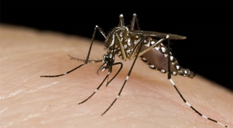Chikunguña supera por lejos al dengue en casos: reconozca los síntomas y signos de alarma