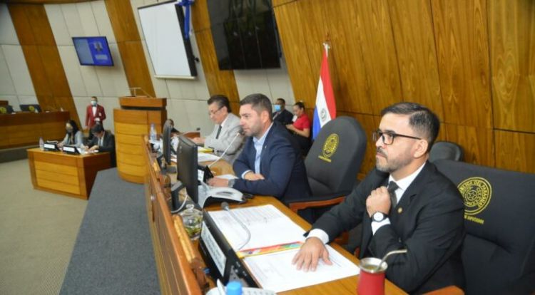 En Diputados definen proyecto del combustible: no incluye a emblemas privados