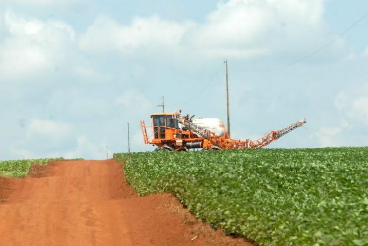 MAG alerta que la sequía extrema reducirá el rendimiento en un 30%