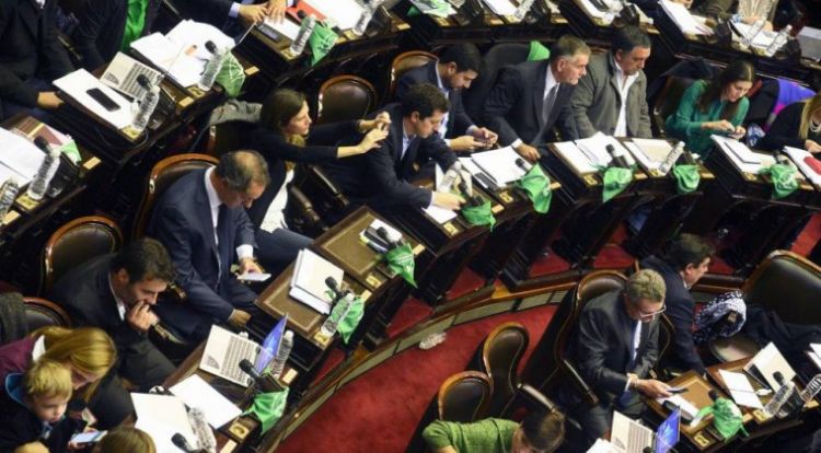 La Cámara de Diputados argentina aprueba la ley del aborto y pasa al Senado