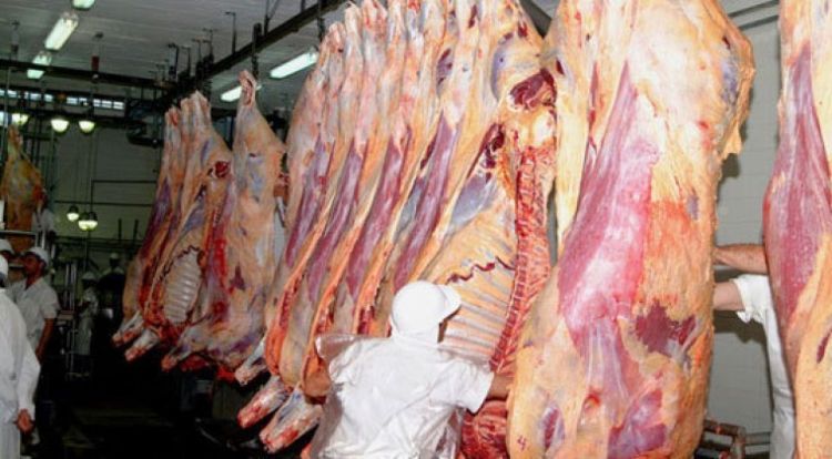 El 70 % de la carne de los supermercados viene de mataderos, según Pettengill