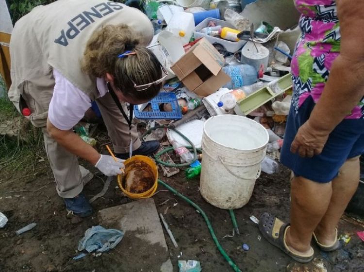 Salud reporta 46 fallecidos por dengue y anuncia descenso de casos