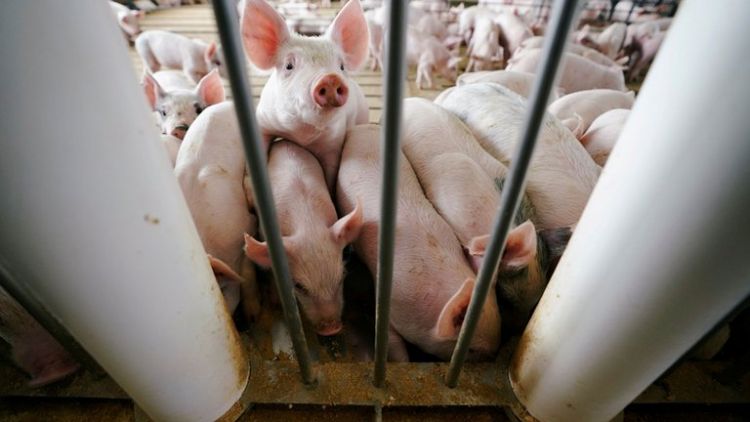 Cientficos identificaron en China otro virus respiratorio "con potencial para convertirse en pandemia"