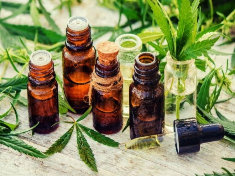 Cámara de Cannabis denuncia irregular registro en Dinapi