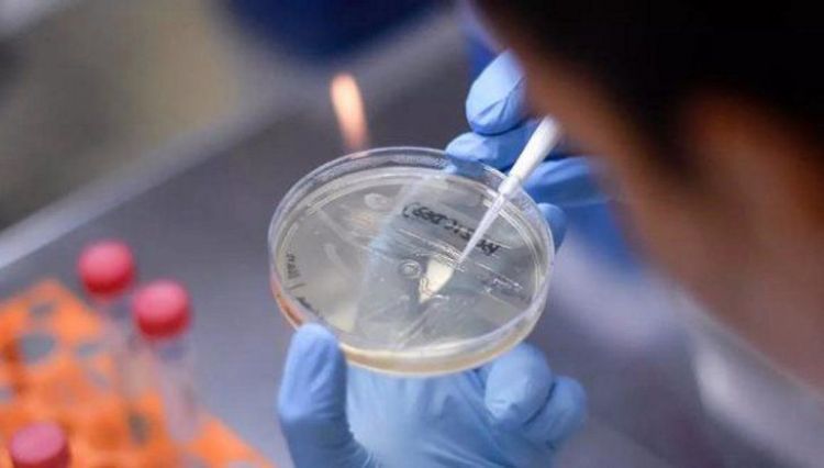 La OMS teme que se alcancen los 200 millones de contagios globales en agosto