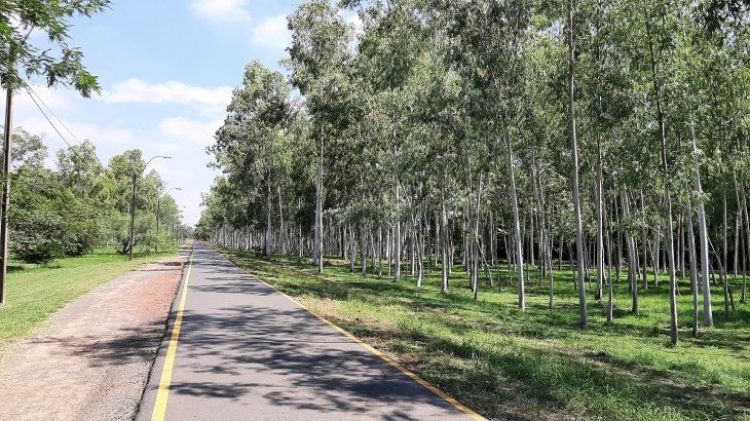 Clima: Miércoles soleado y con máximas de 40ºC