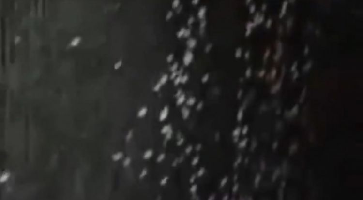 Reportan graupel en Encarnación: no fue nieve ni aguanieve