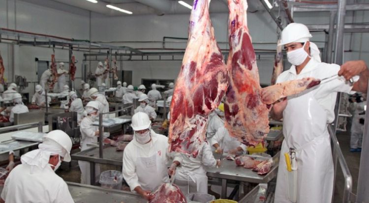 Con más de 238.000 toneladas de carne, Paraguay logra récord de exportación