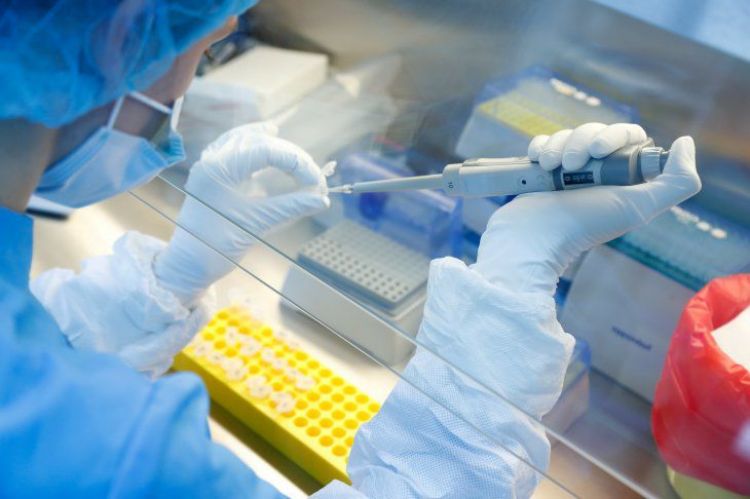 Setiembre abre con cifra récord de muertes por coronavirus: 22 pacientes fallecidos
