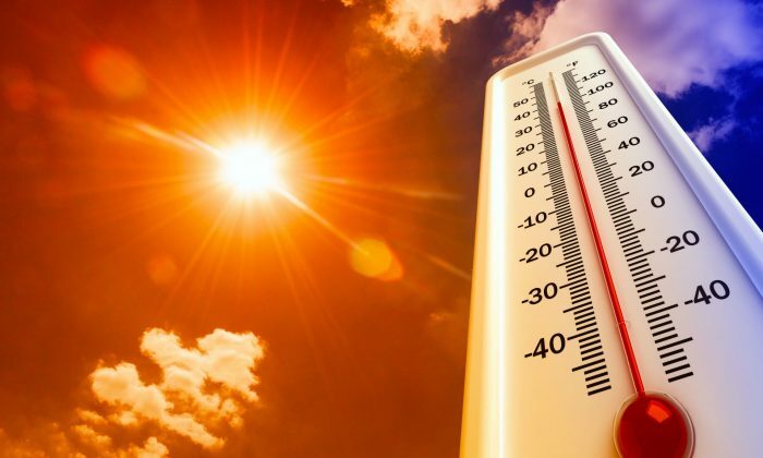 Boletín especial por altas temperaturas
