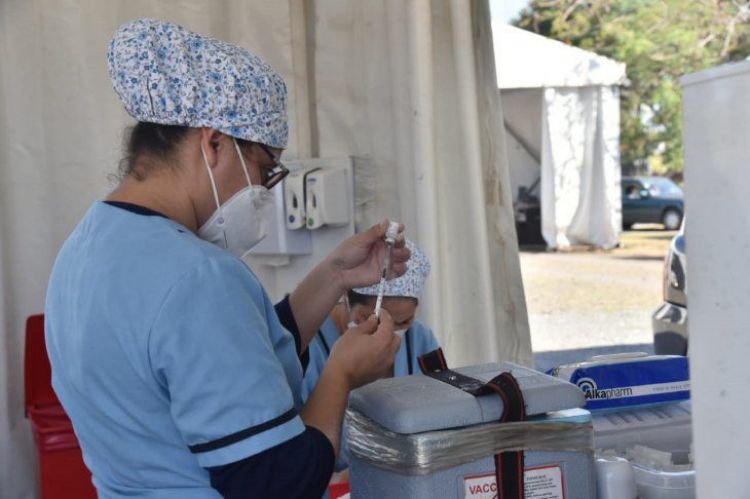 Embarazadas, docentes y jóvenes de 20 a 34 años podrán recibir primera dosis contra el Covid-19