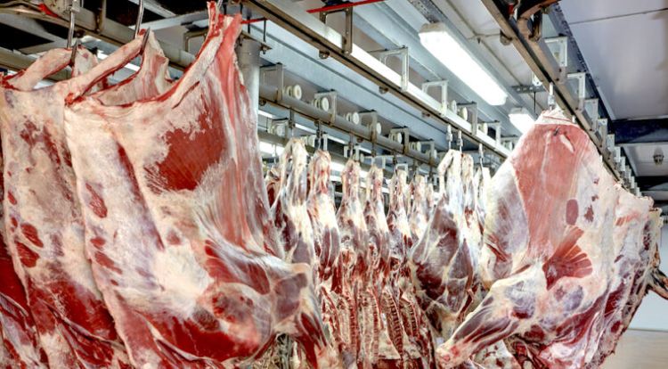 Carne paraguaya, muy cerca de Estados Unidos