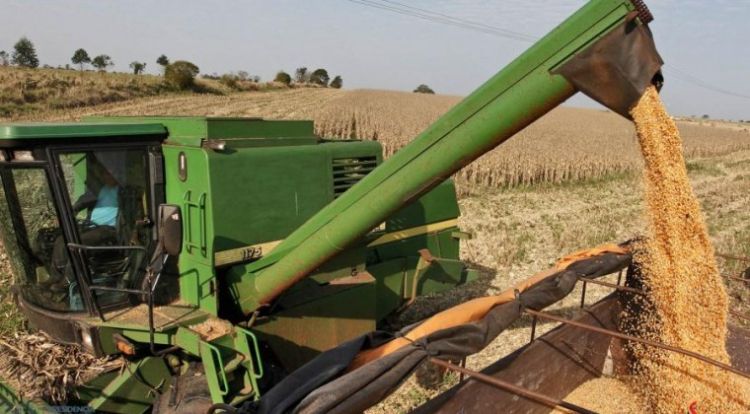 El 2021 cierra con 11 millones de toneladas de soja cosechadas