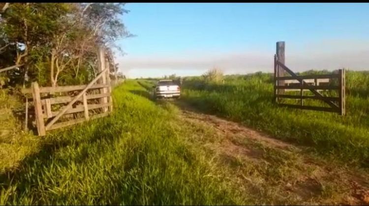 Matan a ganadero alemán y a dos peones secuestrados en San Pedro