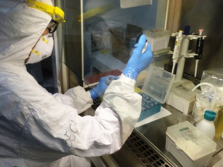 Covid-19: Salud informa sobre 8 muertes y 596 nuevos contagios