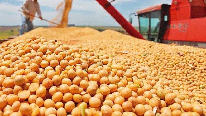 Circularán unos USD 4.200 millones en campaña sojera