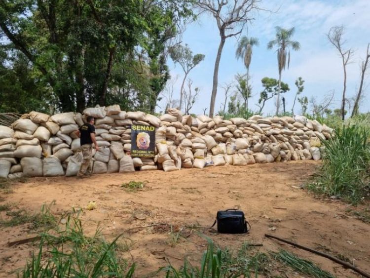 Senad detectó 18 toneladas de marihuana ocultas en una fosa en zona rural de Amambay