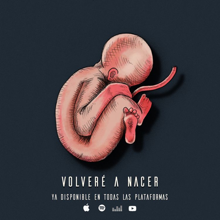 Flou comparte