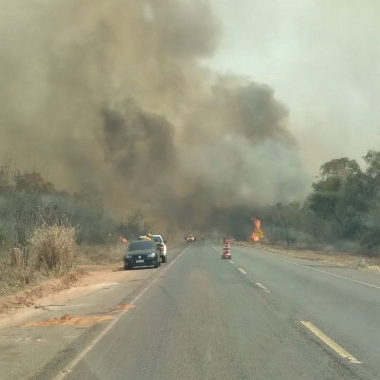Preocupa en Amambay el descontrol del fuego en el Parque Cerro Corá