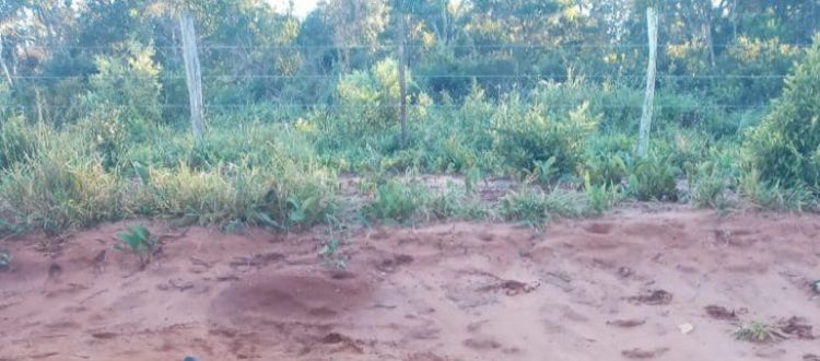 Hallan cadáver de un hombre en Capitán Bado
