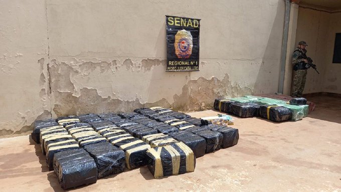Senad incauta 1,2 toneladas de marihuana en Amambay