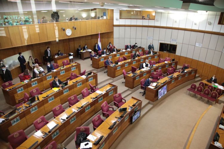 Senado denunciará lavado de dinero ante los organismos internacionales
