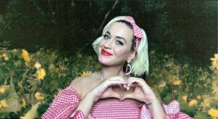Katy Perry, Guetta y Steve Aoki prometen un Tomorrowland virtual histórico