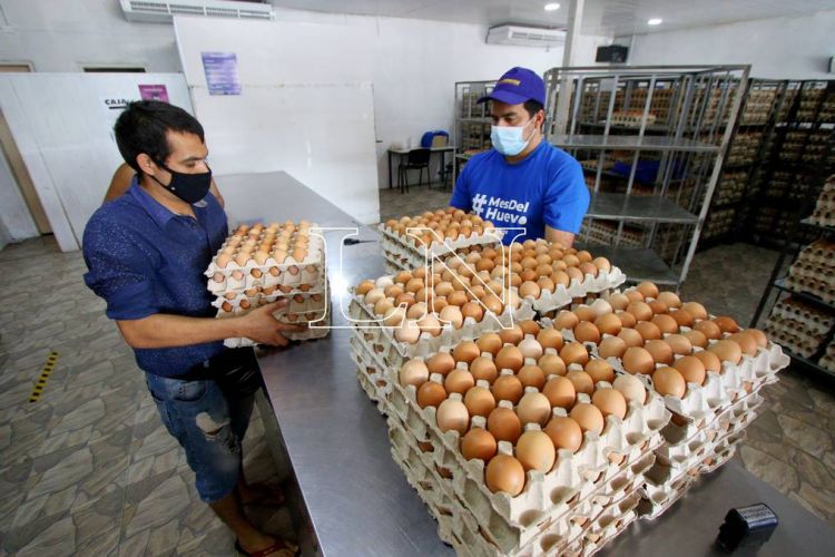 “El contrabando que nos fundió y nos obligó a cerrar es el culpable”, asegura productor de huevos