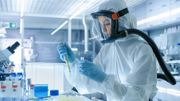 Una vacuna desarrollada en Italia generó anticuerpos capaces de neutralizar el coronavirus