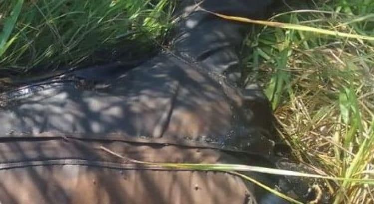 Amambay: hallan cadáver al costado de la Ruta PY05 en Cerro Corá