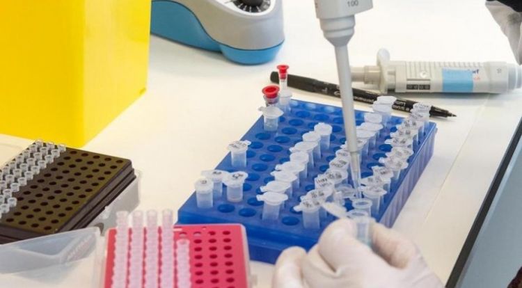 Laboratorio israelí realiza exitoso ensayo de vacuna contra el COVID-19 en roedores
