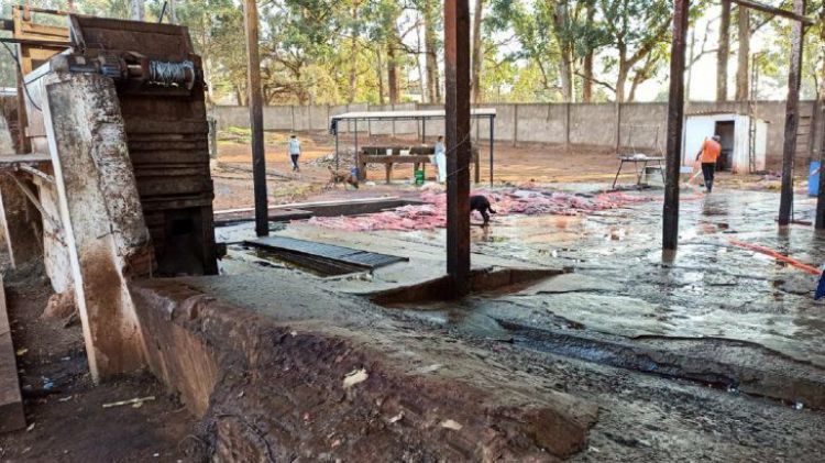 Dos funcionarios municipales detenidos tras contaminación de arroyo por matadero