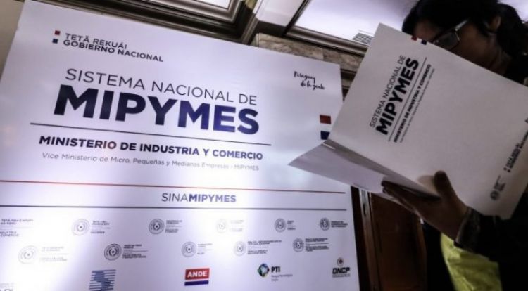 Diputados se ratifica en ampliar el Fogapy