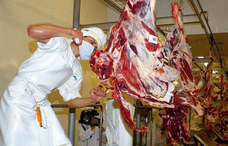 Paralización de negocios con la UE preocupa a las industrias cárnicas
