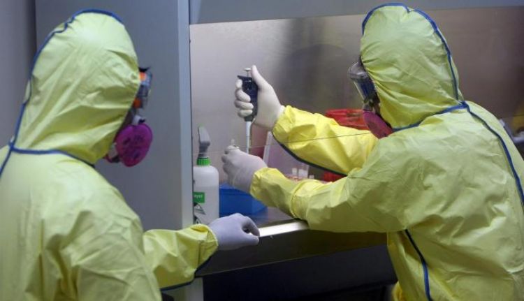 Perú declara alerta por la viruela del mono pese a no haber detectado casos