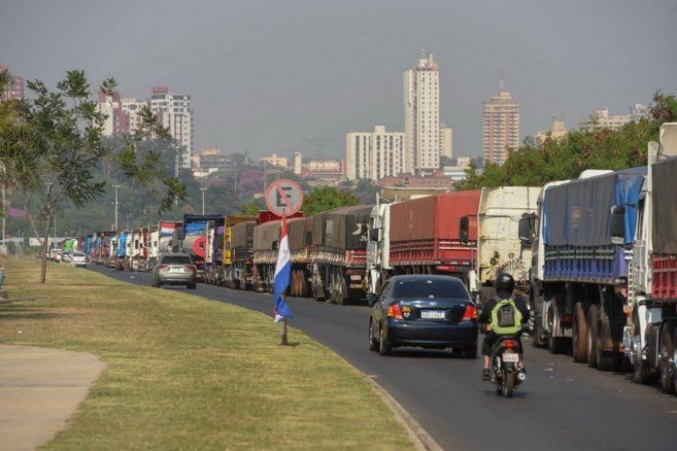 Sector avícola pide rápida solución a paro de camioneros ante perjuicios