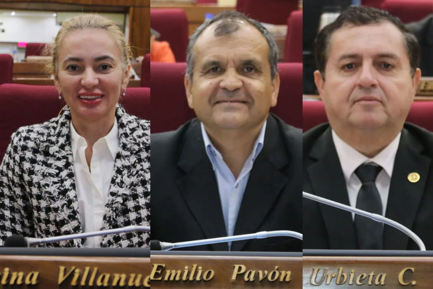 Diputados declara de interés nacional el proyecto de investigación del Corredor Ferroviario Bioceánico "Maraty'a"