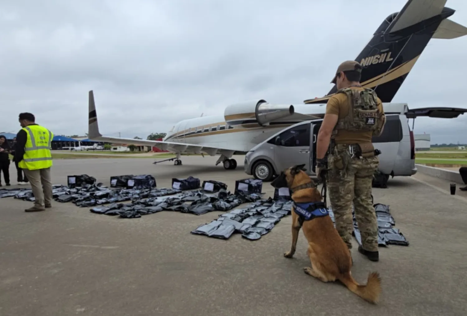 Golpe al narcotráfico: Incautan 261 kilos de marihuana "premium" transportados desde EE. UU. en un jet privado