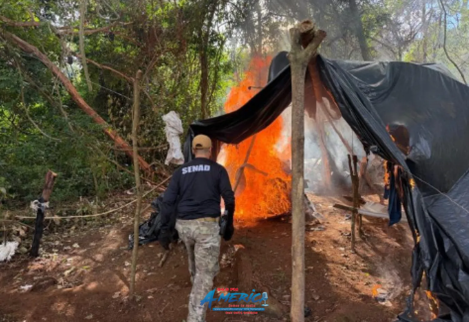 La SENAD destruye más de 10 toneladas de marihuana en Cerro Corá