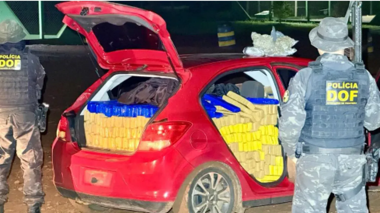Incautan casi 700 kilos de marihuana y skunk en Ponta Porã tras operativo del DOF