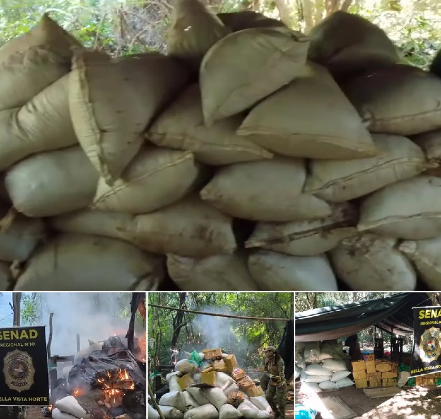 SENAD desmantela centro de acopio de marihuana en Amambay y frustra millonario envío a Brasil